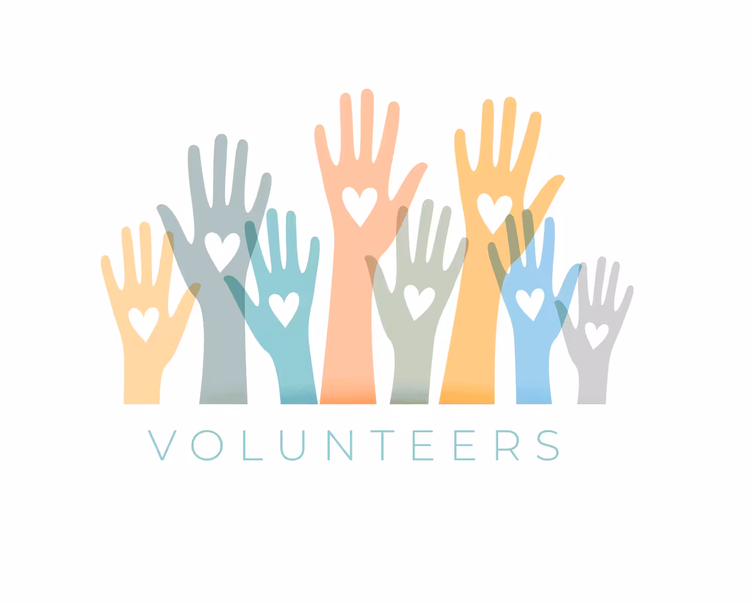 Volunteer for the ACS Warehouse in St. Louis